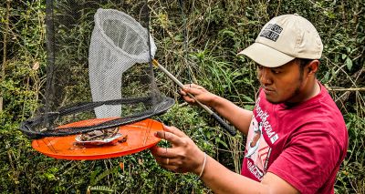'Biggest ever' butterfly survey to begin in Madagascar